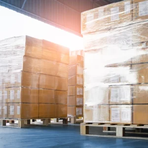 Conversión de la Norma Mundial para Materiales de Embalaje, números 6 a 7, para auditores